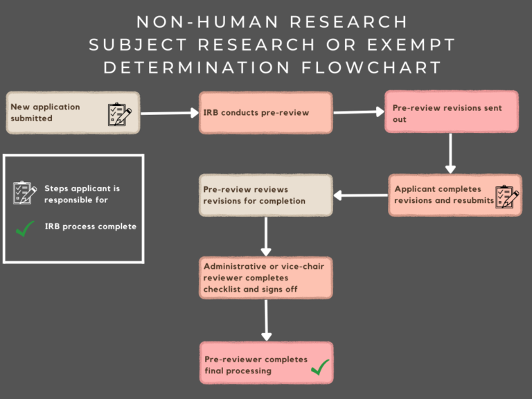 what is a research irb